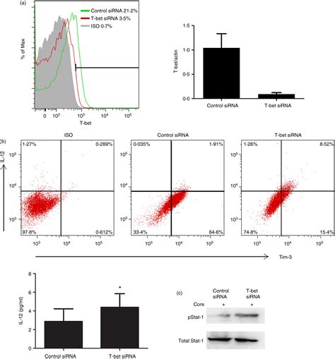 tim bet|T‐bet‐mediated Tim‐3 expression dampens monocyte function .